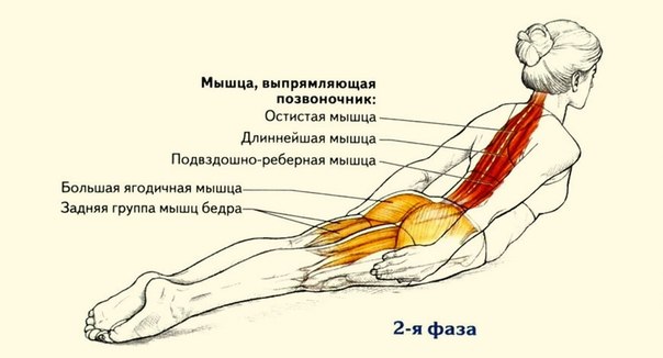 Забудь о сутулости раз и навсегда