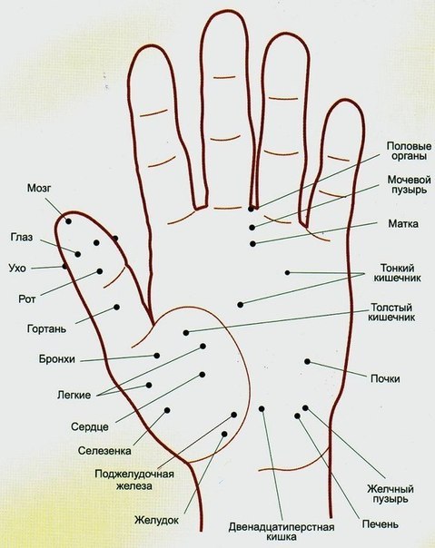 Волшебные точки на теле человека